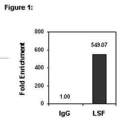 MilliporeSigma&trade;&nbsp;Upstate&trade; LSF, Rabbbit Polyclonal, ChIP Validated Antibody and Primer Set