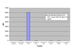MilliporeSigma Upstate ChIPAb+ Dimethyl-Histone H3 (Lys9) - ChIP Validated