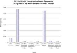 MilliporeSigma&trade;&nbsp;NFKB p65 EZ-TFA Transcription Factor Assay Colorimetric Kit