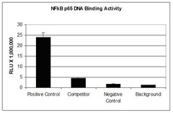 MilliporeSigma&trade;&nbsp;Universal EZ-TFA Chemiluminescent Transcription Factor Assay