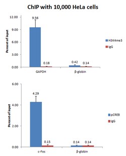 MilliporeSigma&trade;&nbsp;Magna ChIP&trade; HiSens Chromatin Immunoprecipitation Kit