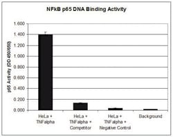 MilliporeSigma&trade;&nbsp;Universal EZ-TFA Colorimetric Transcription Factor Assay