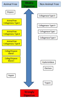 MilliporeSigma&trade;&nbsp;Animal Free Collagenase, Type A