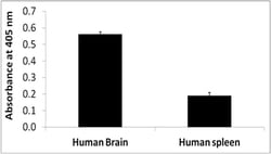 MilliporeSigma™ Upstate™ CpGenome™ 5-mC and 5-hmC Human DNA Standard