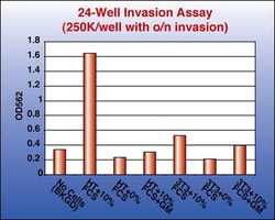 MilliporeSigma™ Chemicon™ QCM™ Collagen Cell Invasion Assay, 24-well (8μm), Colorimetric
