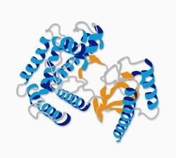 MilliporeSigma&trade;&nbsp;Calbiochem&trade; &alpha;<sub>1</sub>-Antitrypsin, Human Plasma