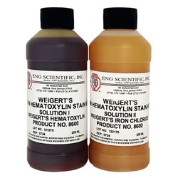 ENG Scientific Weigert's Iron Hematoxylin Stain Kit 2 x 250 mL | Buy Online | ENG Scientific | Fisher Scientific