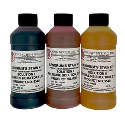 ENG Scientific&nbsp;Lendrum's Stain Kit
