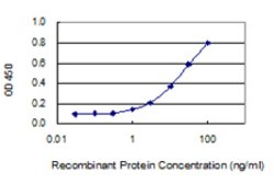 FXYD2, Mouse anti-Human, Clone: 1C3-B3, Abnova 100&mu;g; Unconjugated:Antibodies,