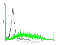 C3AR1, Mouse anti-Human, Polyclonal Antibody, Abnova 50&mu;g; Unconjugated:Antibodies,