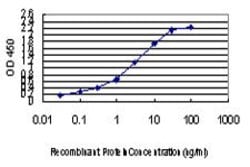 CDK8, Mouse anti-Human, Clone: 6H5, Abnova 100&mu;g; Unconjugated:Antibodies,