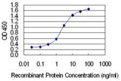COL5A2, Mouse anti-Human, Clone: 3G11, Abnova 100&mu;g; Unconjugated:Antibodies,