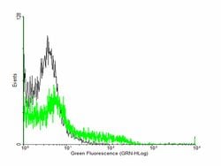 CLDN4, Mouse anti-Human, Polyclonal Antibody, Abnova 50&mu;L; Unconjugated:Antibodies,