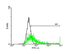 HLA-DRB3, Mouse anti-Human, Polyclonal Antibody, Abnova 50&mu;g; Unconjugated:Antibodies,