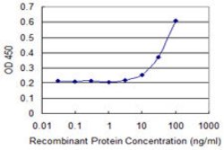 HOXD3, Mouse anti-Human, Clone: 3C2, Abnova 100&mu;g; Unconjugated:Anticuerpos