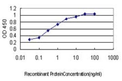 HOXD8, Mouse anti-Human, Clone: 10F8, Abnova 100&mu;g; Unconjugated:Antibodies,