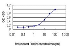HSF2, Mouse anti-Human, Clone: 1F11-A3, Abnova 100&mu;g; Unconjugated:Anticuerpos