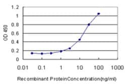 HYAL1, Mouse anti-Human, Clone: 2H7, Abnova 100&mu;g; Unconjugated:Antibodies,
