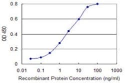 ISG20, Mouse anti-Human, Clone: S1, Abnova 100&mu;g; Unconjugated:Antibodies,