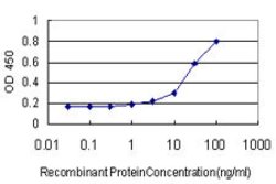 SMAD1, Mouse anti-Human, Clone: 2E9, Abnova 100&mu;g; Unconjugated:Antibodies,