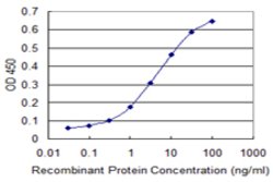 MAG, Mouse anti-Human, Clone: 3C7, Abnova 100&mu;g; Unconjugated:Anticuerpos