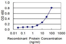 MIPEP, Mouse anti-Human, Clone: 4G11, Abnova 100&mu;g; Unconjugated:Anticuerpos