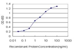 MLLT1, Mouse anti-Human, Clone: 3H2, Abnova 100&mu;g; Unconjugated:Antibodies,