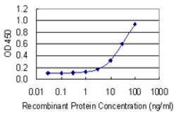MSN, Mouse anti-Human, Clone: 4B8, Abnova 100&mu;g; Unconjugated:Antibodies,