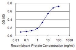 MYH9, Mouse anti-Human, Clone: 3C7, Abnova 50&mu;g; Unconjugated:Antibodies,