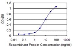 NEB, Mouse anti-Human, Clone: 1F4, Abnova 100&mu;g; Unconjugated:Anticuerpos