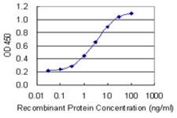 NFKBIA, Mouse anti-Human, Clone: 3H4, Abnova 100&mu;g; Unconjugated:Antibodies,