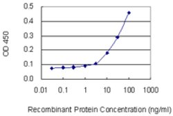 NFYC, Mouse anti-Human, Clone: 1D3, Abnova 50&mu;g; Unconjugated:Antibodies,