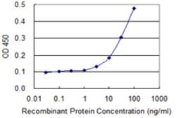 NID1, Mouse anti-Human, Clone: 1G3, Abnova 100&mu;g; Unconjugated:Antibodies,