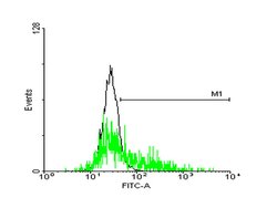 GPR143, Mouse anti-Human, Polyclonal Antibody, Abnova 50&mu;g; Unconjugated:Antibodies,