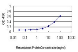 PEBP1, Mouse anti-Human, Clone: 1D3-1B6, Abnova 100&mu;g; Unconjugated:Antibodies,