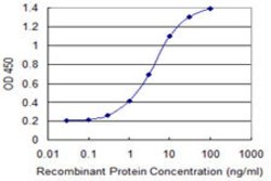 PCDH8, Mouse anti-Human, Clone: 1C5, Abnova 100&mu;g; Unconjugated:Anticuerpos
