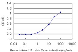 PDGFRB, Mouse anti-Human, Clone: 4C12, Abnova 100&mu;g; Unconjugated:Antibodies,