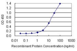 POLR2F, Mouse anti-Human, Clone: 2G2, Abnova 100 &mu;g | Buy Online | Abnova | Fisher Scientific