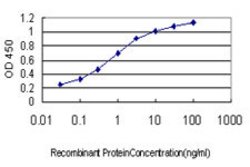 PRSS7, Mouse anti-Human, Clone: 3F8, Abnova 100&mu;g; Unconjugated:Antibodies,