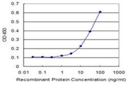PVRL2, Mouse anti-Human, Clone: 2A6-2C1, Abnova 100&mu;g; Unconjugated:Antibodies,