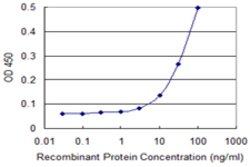 REG1A, Mouse anti-Human, Clone: 3E2, Abnova 100&mu;g; Unconjugated:Antibodies,