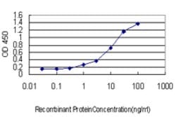 RHEB, Mouse anti-Human, Clone: 1E12, Abnova 100&mu;g; Unconjugated:Antibodies,