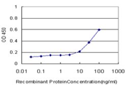 RLN1, Mouse anti-Human, Clone: 1H6, Abnova 100&mu;g; Unconjugated:Antibodies,