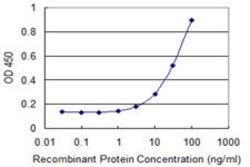 RPS8, Mouse anti-Human, Clone: 4D11, Abnova 100&mu;g; Unconjugated:Antibodies,