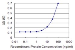 CCL2, Mouse anti-Human, Clone: 2E2, Abnova 50&mu;g; Unconjugated:Antibodies,