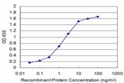 CCL3, Mouse anti-Human, Clone: 4E7, Abnova 100&mu;g; Unconjugated:Anticuerpos