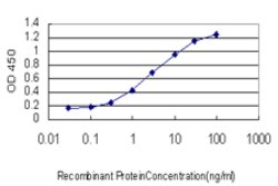SFRS10, Mouse anti-Human, Clone: 7A1, Abnova 100&mu;g; Unconjugated:Antibodies,