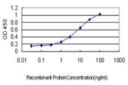 SH3BP2, Mouse anti-Human, Clone: 1E9, Abnova 100&mu;g; Unconjugated:Antibodies,