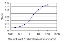SH3GL2, Mouse anti-Human, Clone: 5A6, Abnova 100&mu;g; Unconjugated:Antibodies,