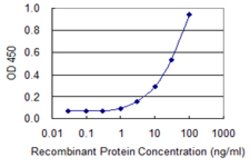 SLC3A1, Mouse anti-Human, Clone: 3G3, Abnova 100&mu;g; Unconjugated:Antibodies,